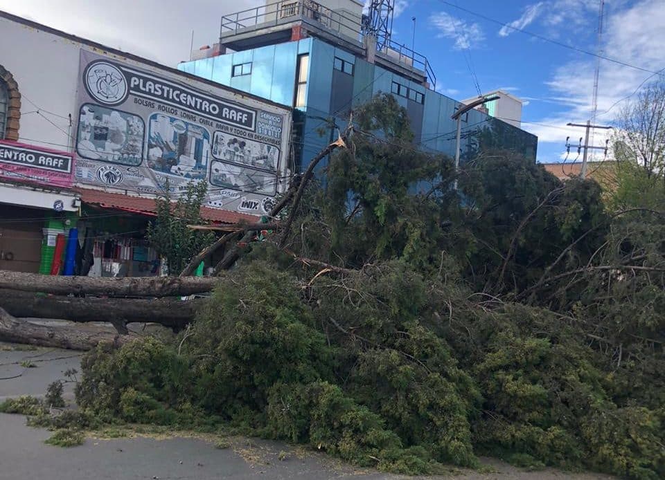 Plasticentro aguascalientes