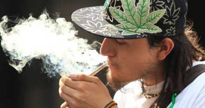 Senado aprueba en comisiones uso lúdico de marihuana en México