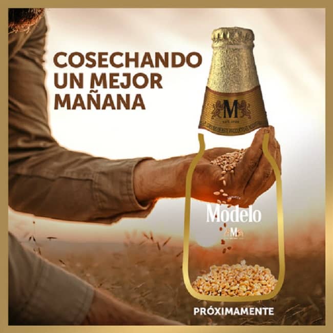 Cerveza Modelo lanzará edición especial para apoyar a agricultores afectados por COVID-19