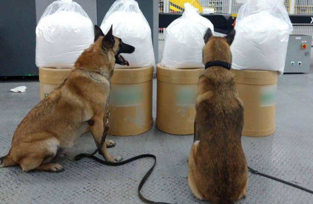 Guardia Nacional intercepta alrededor de 100 kilos de fenacetina en Querétaro