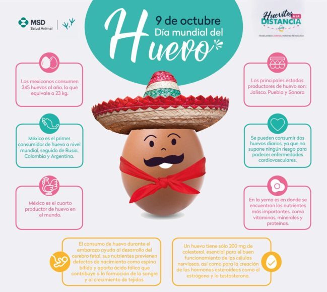 México principal consumidor de huevo en el mundo