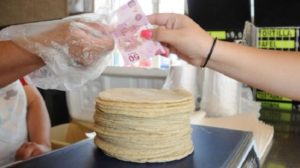 subirá el precio de la tortilla