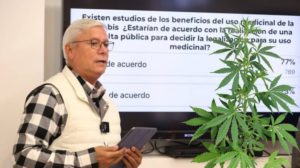 baja california consulta popular para marihuana medicinal