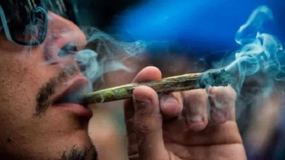 dictamen sobre uso lúdico de la marihuana