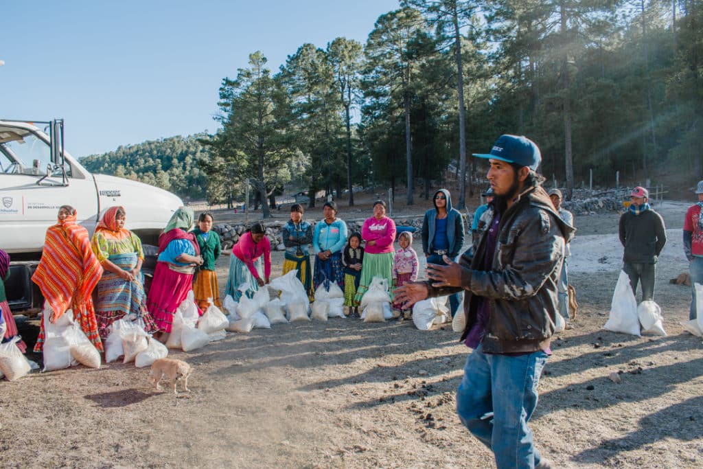 alimento en comunidades indígenas de Guachochi