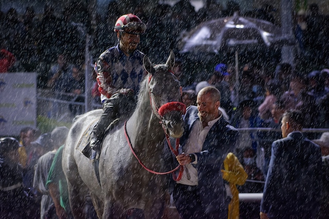 El Santo Handicap de Las Américas