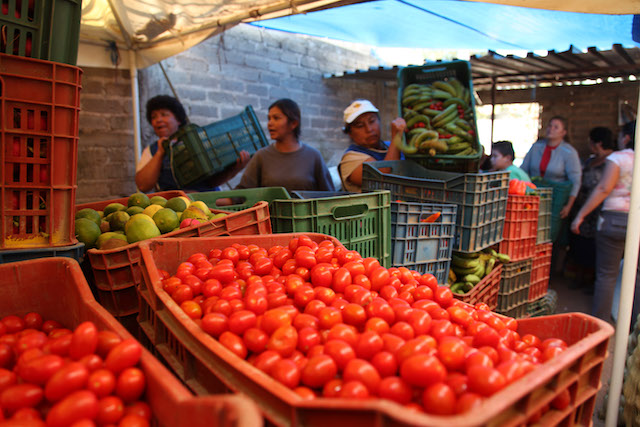 desperdicio de alimentos