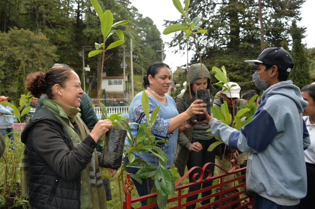 Gobierno del Estado de México se une con estudiantes de Xonacatlán en actividad de reforestación