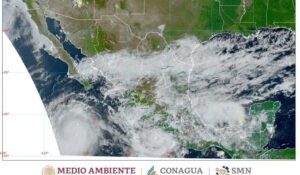 El centro de Max se localiza muy cerca de la línea de costa de Guerrero