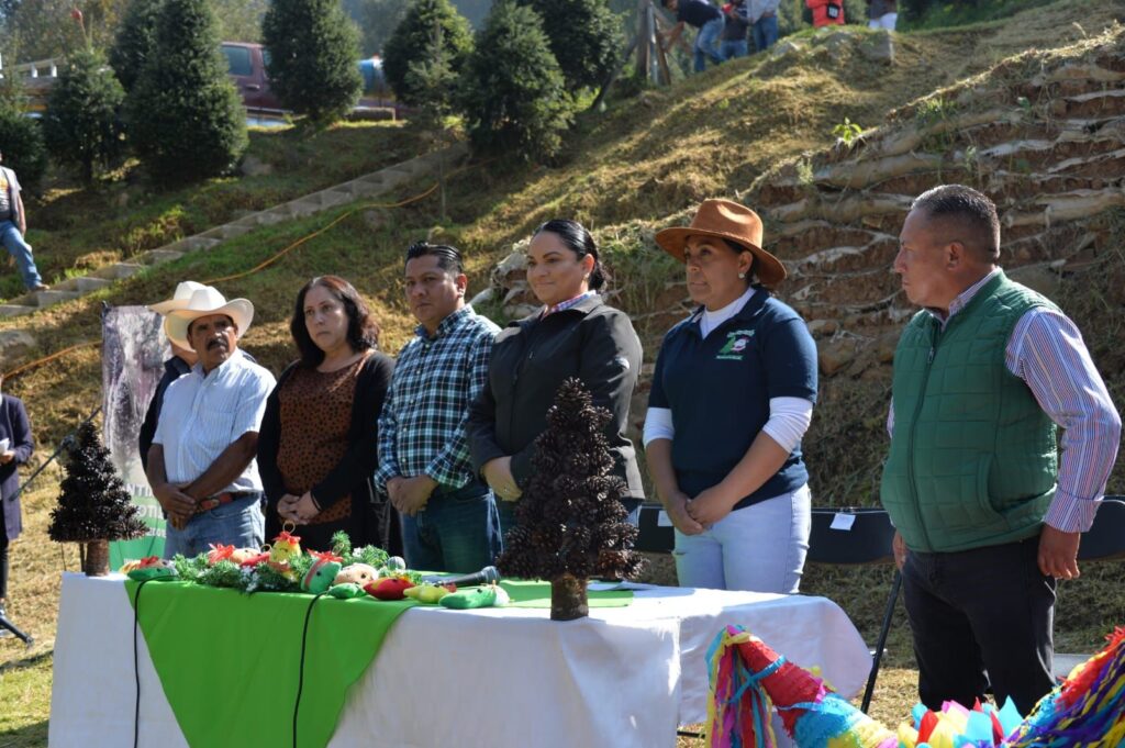 Inició la venta de árboles de Navidad, Estado de México líder nacional en su producción