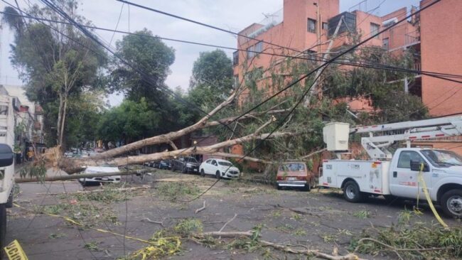 Alerta amarilla por vientos fuertes en la capital del país