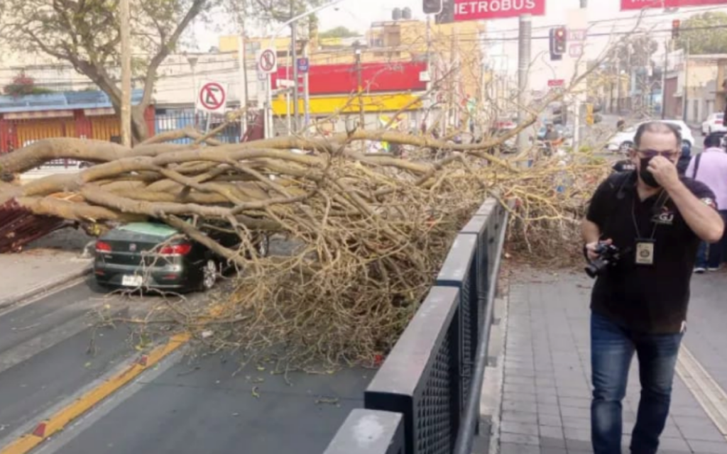 Alerta amarilla por vientos fuertes en la capital del país