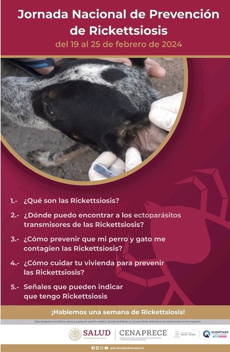 Realiza SESA Jornada de Prevención de Ricketssiosis