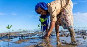 Conservación de la Naturaleza y los Desafíos Climáticos