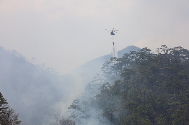 incendio forestal