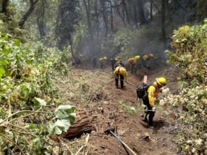 incendio forestal