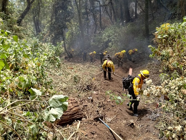 incendio forestal