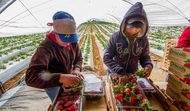 exportaciones agropecuarias