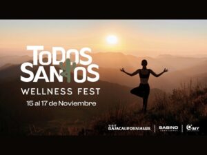 Wellness Fest