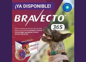 BRAVECTO 365